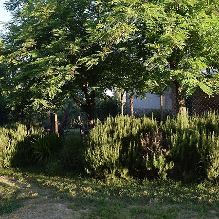 Вилла Il Saragio Аббадия-ди-Монтепульчано Экстерьер фото